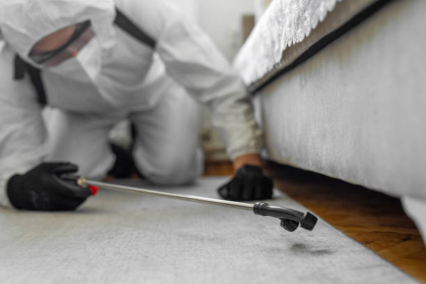 Professional Bed Bug Control technician working in Rankin County County, MS